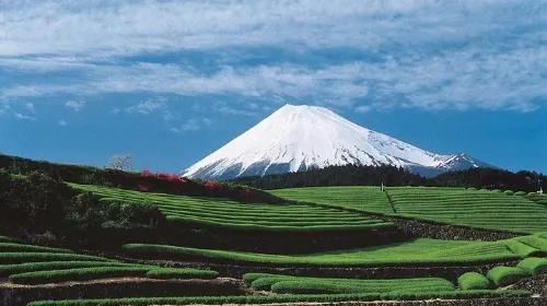 Shizuoka: Shimizu Mt Fuji View 6 hours Private Tour with Government-Licensed Guide