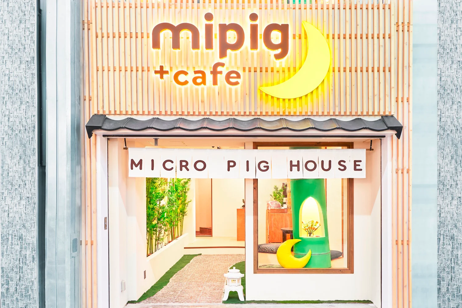Book Mini Pig Cafe in Kyoto