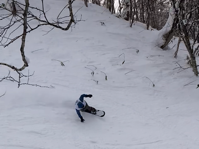 Niseko 1-Day Advanced Snowboard Private Lesson: Carving, Tricks & Powder Ride in Hokkaido! (6 Hours)