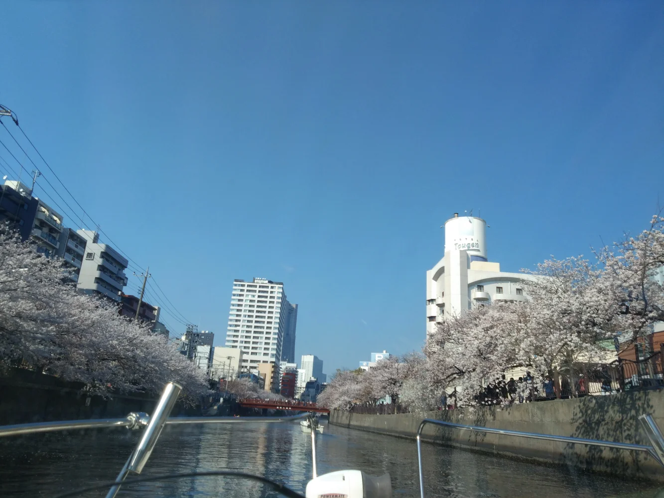 東京 大横川＆隅田川 貸切お花見クルージング 予約　＜3月20日から4月14日までの期間限定＞