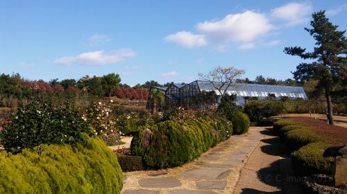 韓国 済州 カメリアヒル植物園 入場Eチケット 予約[即日発券]