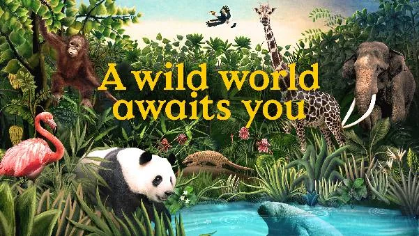 シンガポール パークホッパー・プラス（旅行者用）予約＜4つの動物園が楽しめる！＞