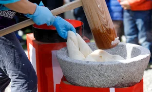 Tokyo Shinjuku: Mochi Pounding Experience with Tasting＜Japanese traditinal rice cake＞