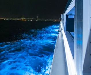 Kanagawa Yokohama Seabus Illumination Cruise Reservation