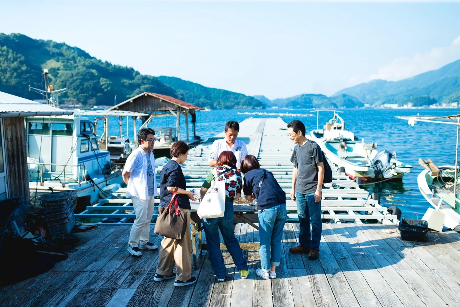Book Oyster Pearl Farming Experience in Japan from Uwajima Oysters (Ehime, Shikoku)