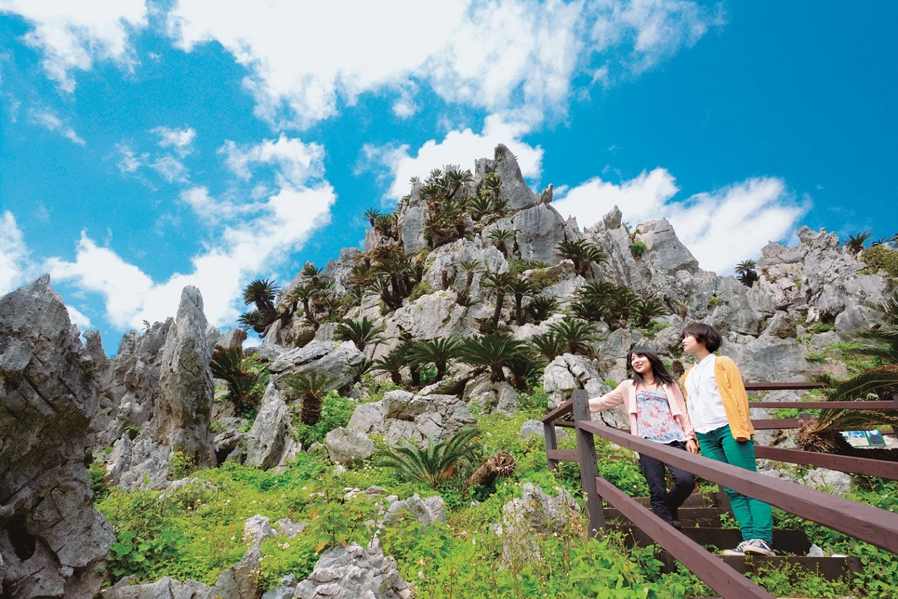 Daisekirinzan E-Ticket: Admission + Coupon in Okinawa's Yambaru National Park