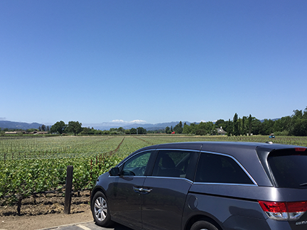 Napa & Sonoma Wine Country 8-Hour Private Excursion