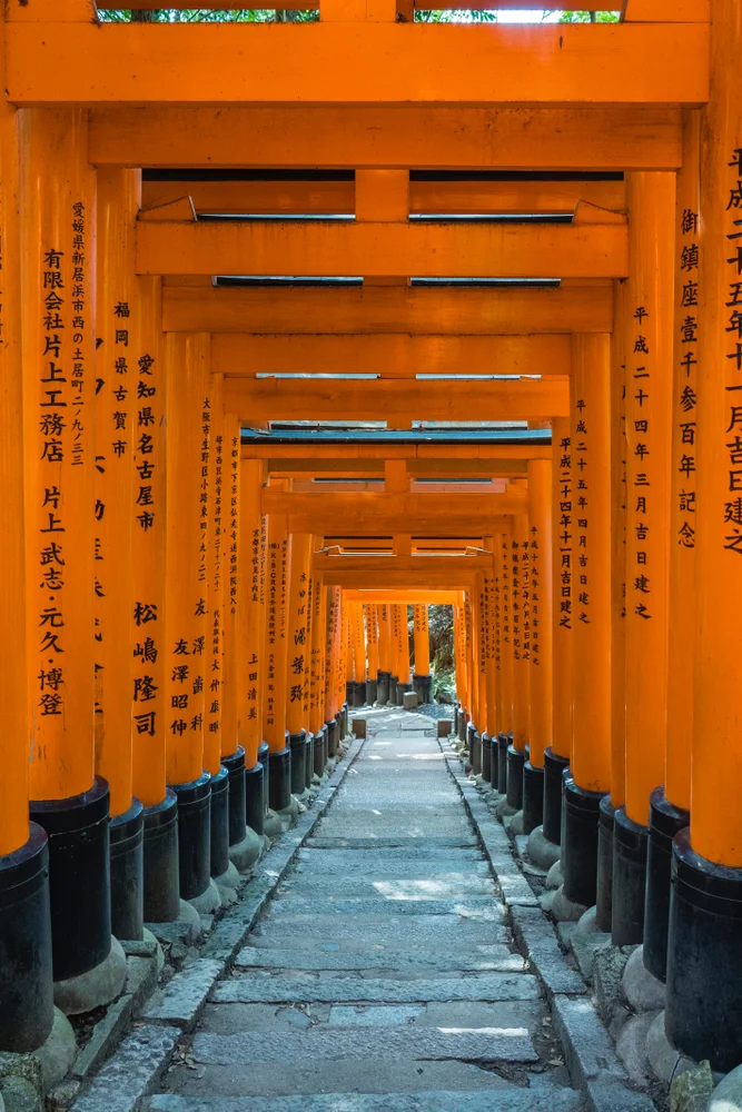 Half-Day Kyoto Bicycle Tour: Fushimi Inari and Sanjusangendo Temple