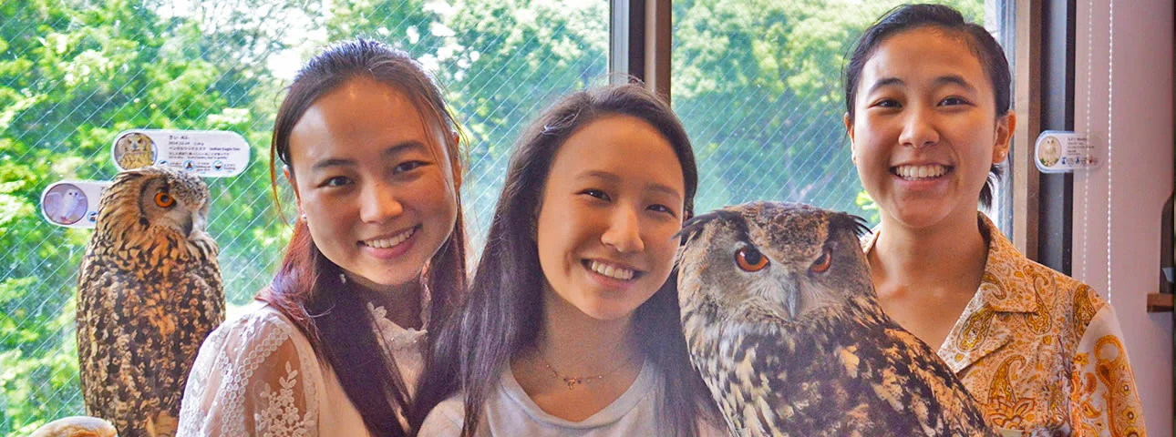 Owl Cafe Osaka - It's a hoot!