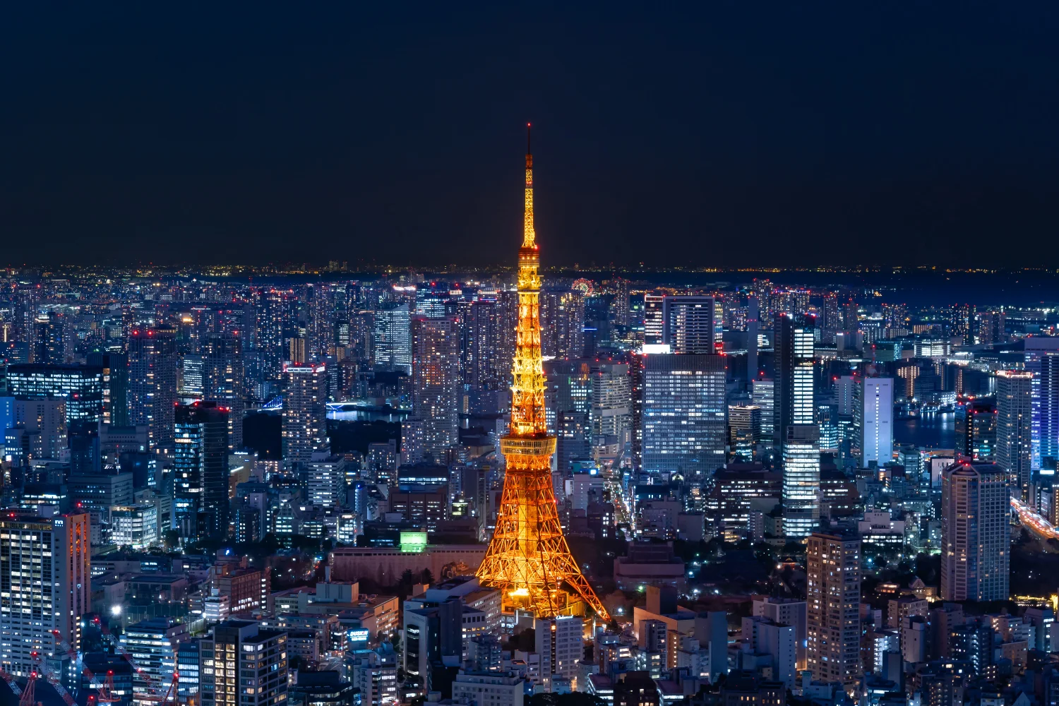 Book Tokyo Tower Top Deck Tour Tickets