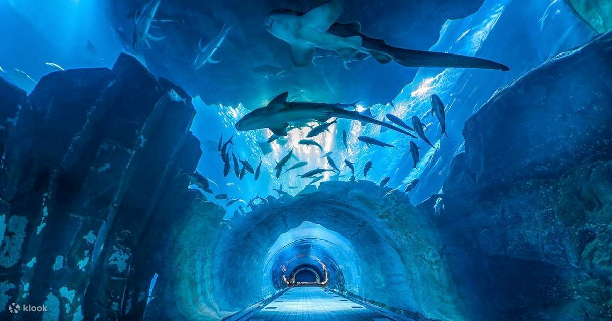 シーライフ バンコク 入場Eチケット予約 ＜サイアムパラゴンの水族館