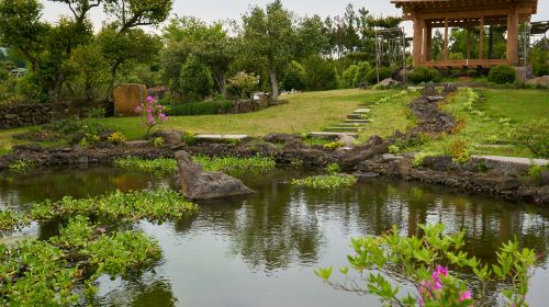 韓国 済州 カメリアヒル植物園 入場Eチケット 予約[即日発券]