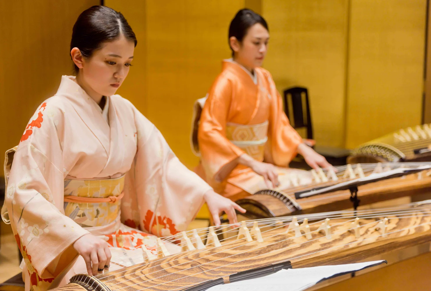 Traditional Japanese Music ZAKURO SHOW in Tokyo