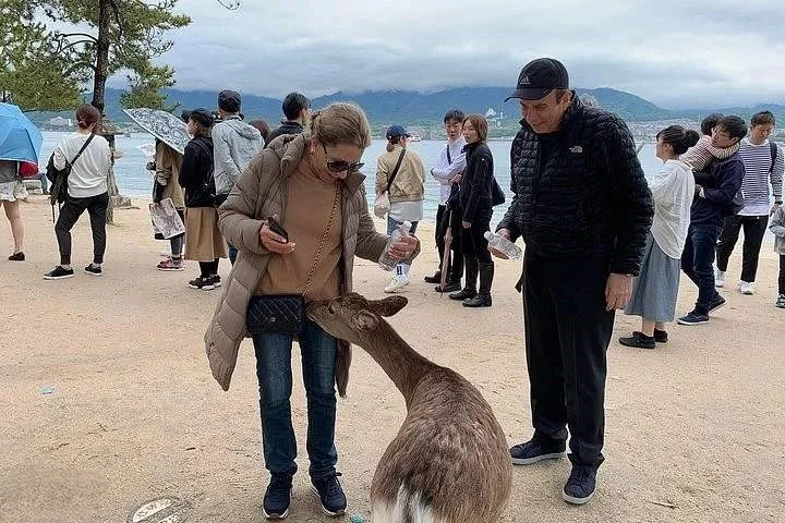 Hiroshima / Miyajima 7 hours Private Tour with Government Licensed Guide (English)