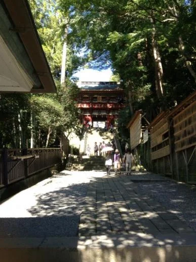 Visit of Shogun’s Shrine Toshogu, Tea farm visit and Sushi Lunch