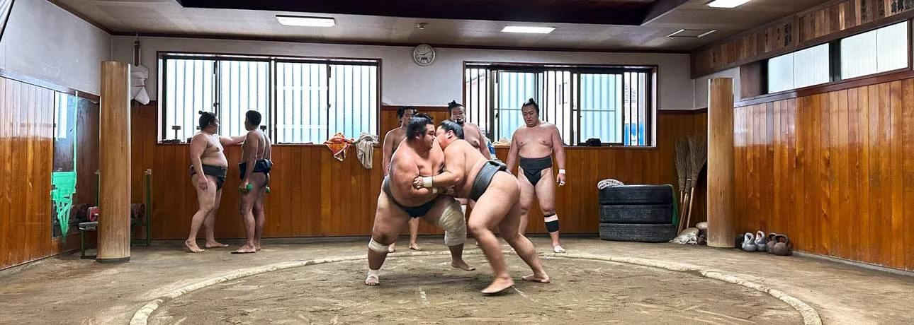 Intimate Sumo Stable Half-Day Tour with Chanko Lunch in Kawaguchi near Tokyo