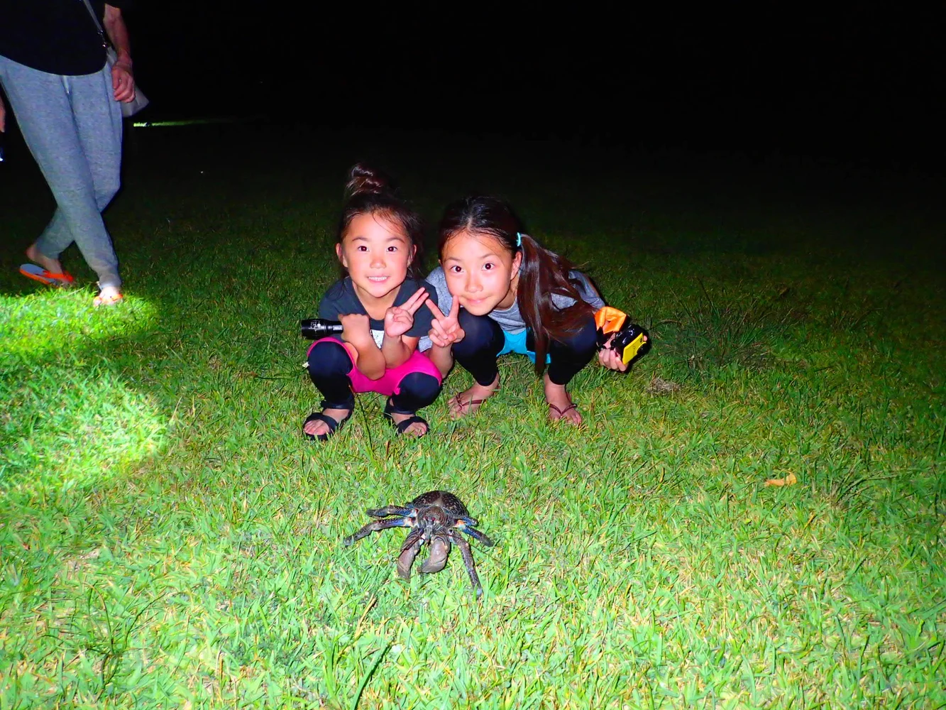 Ishigaki Stargazing & Night Jungle Island Tour in Okinawa