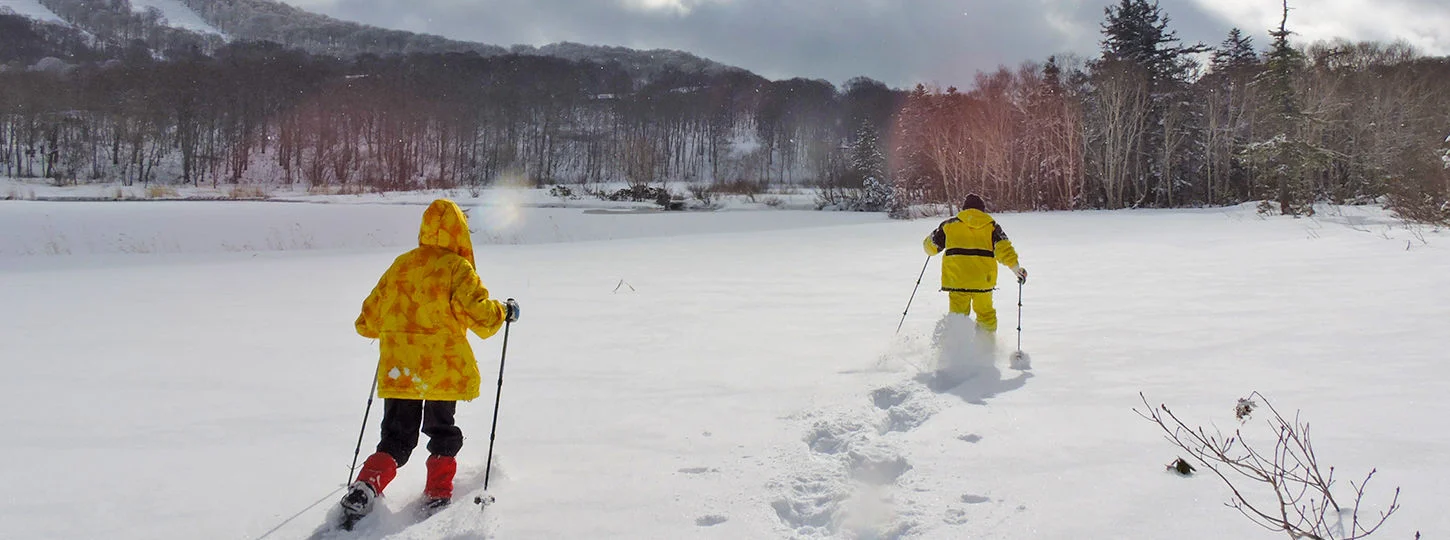 Hachimantai Snowshoe Trekking Tour and Goshogake Onsen Visit