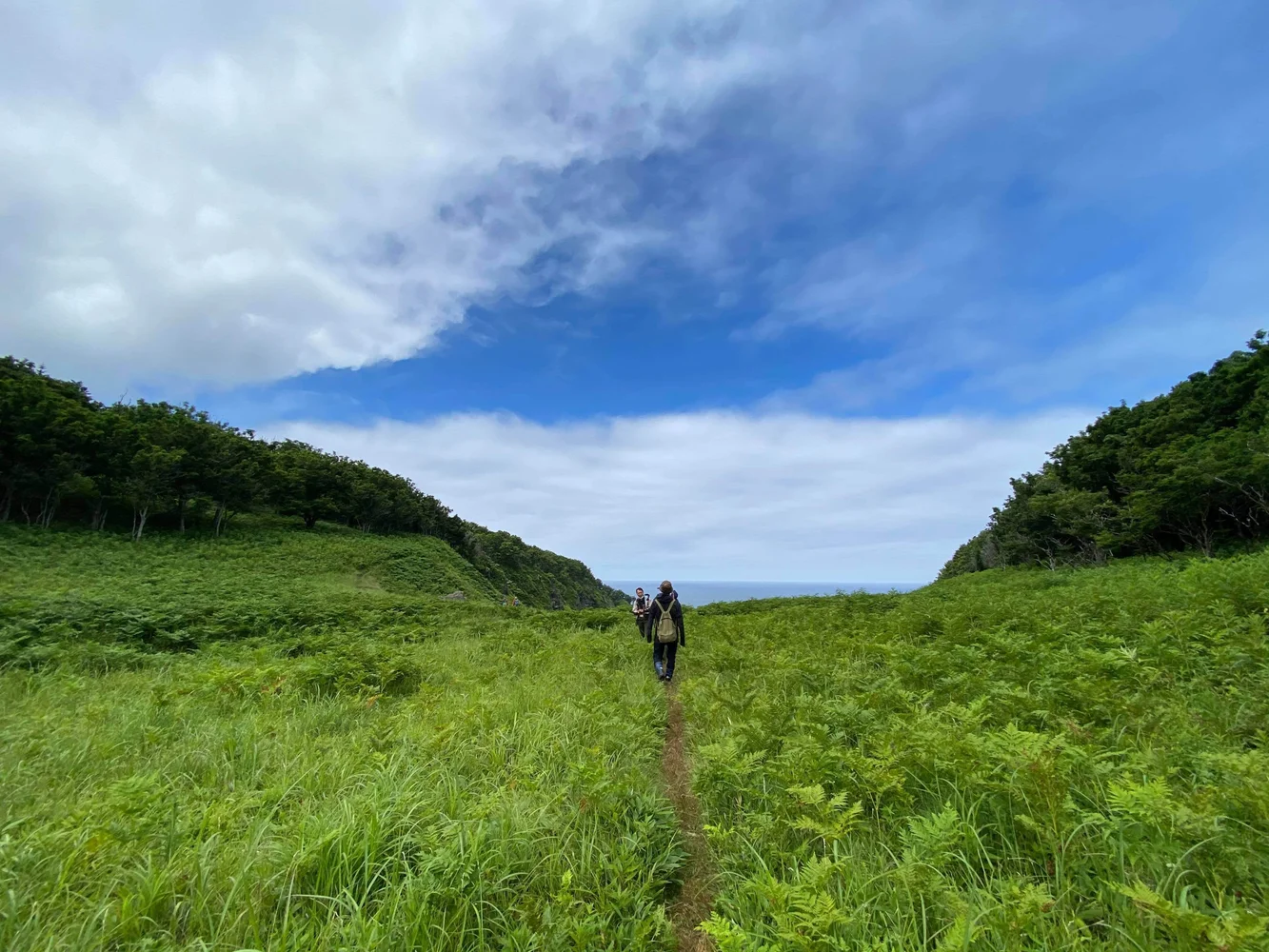 北海道 知床 遊歩道のない原生林を歩く 森歩き絶景ツアー＜送迎付き＞