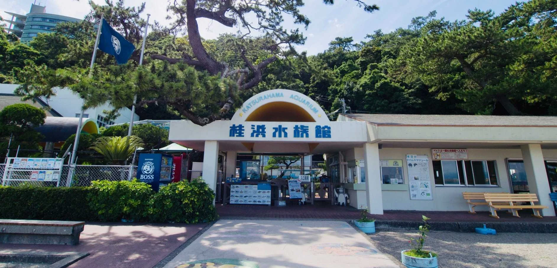高知 桂浜水族館 入館Eチケット（引換券）＜自然豊かな水族館＞