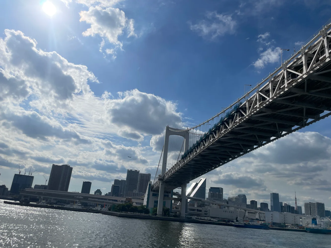 Tokyo Odaiba Beer Garden on Private Cruise