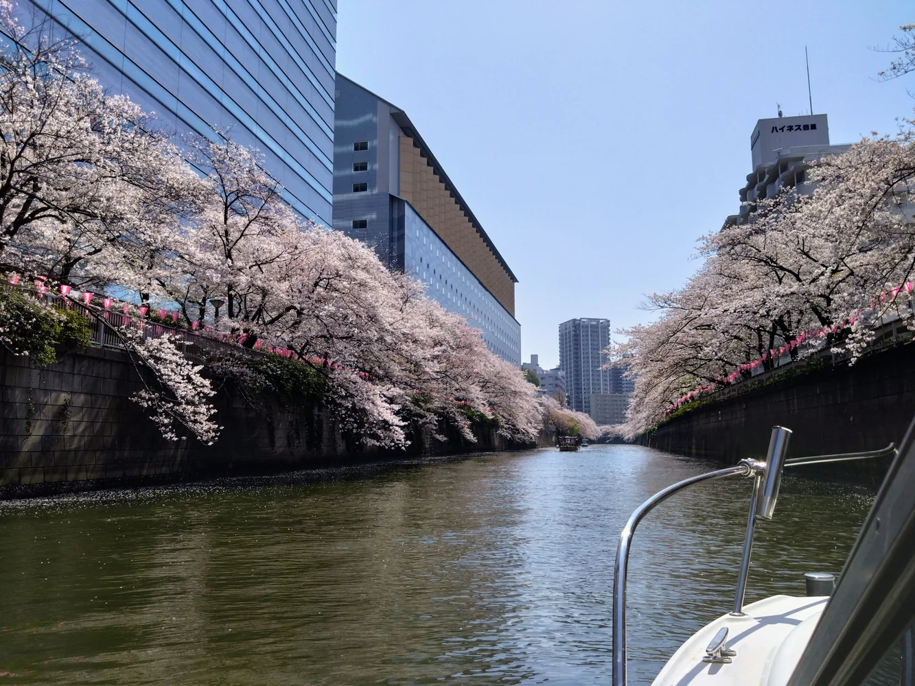 東京 隅田川 貸切お花見クルージング 予約＜3月20日から4月14日までの期間限定＞