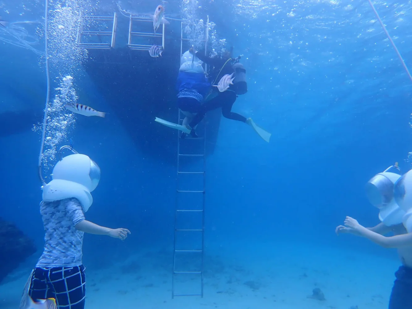 Walk Under the Sea in the Sesokojima Area on Okinawa! Sea Walker Experience