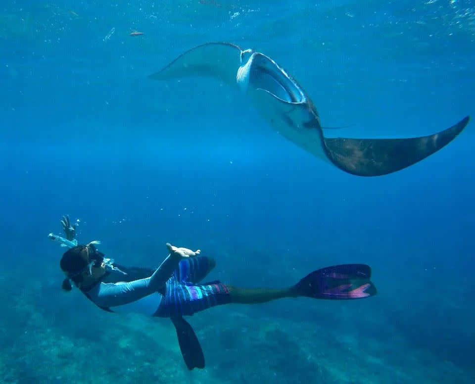 Nusa Penida Snorkelling - Swim with The Manta Rays