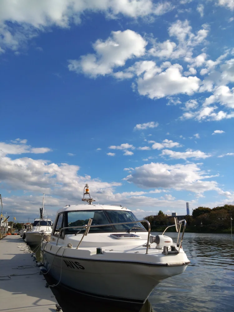 Tokyo 60-Minute Cherry-Blossom Viewing Cruise on Oyoko River [Until Apr 14]