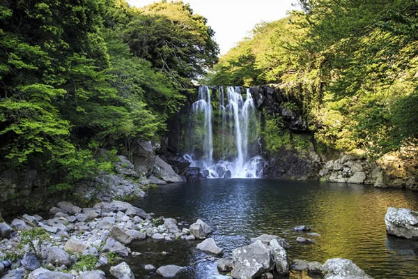 済州島（チェジュ島）三大滝巡り＆オルレ ウォーキングツアー ＜往復送迎／日本語ガイド＞