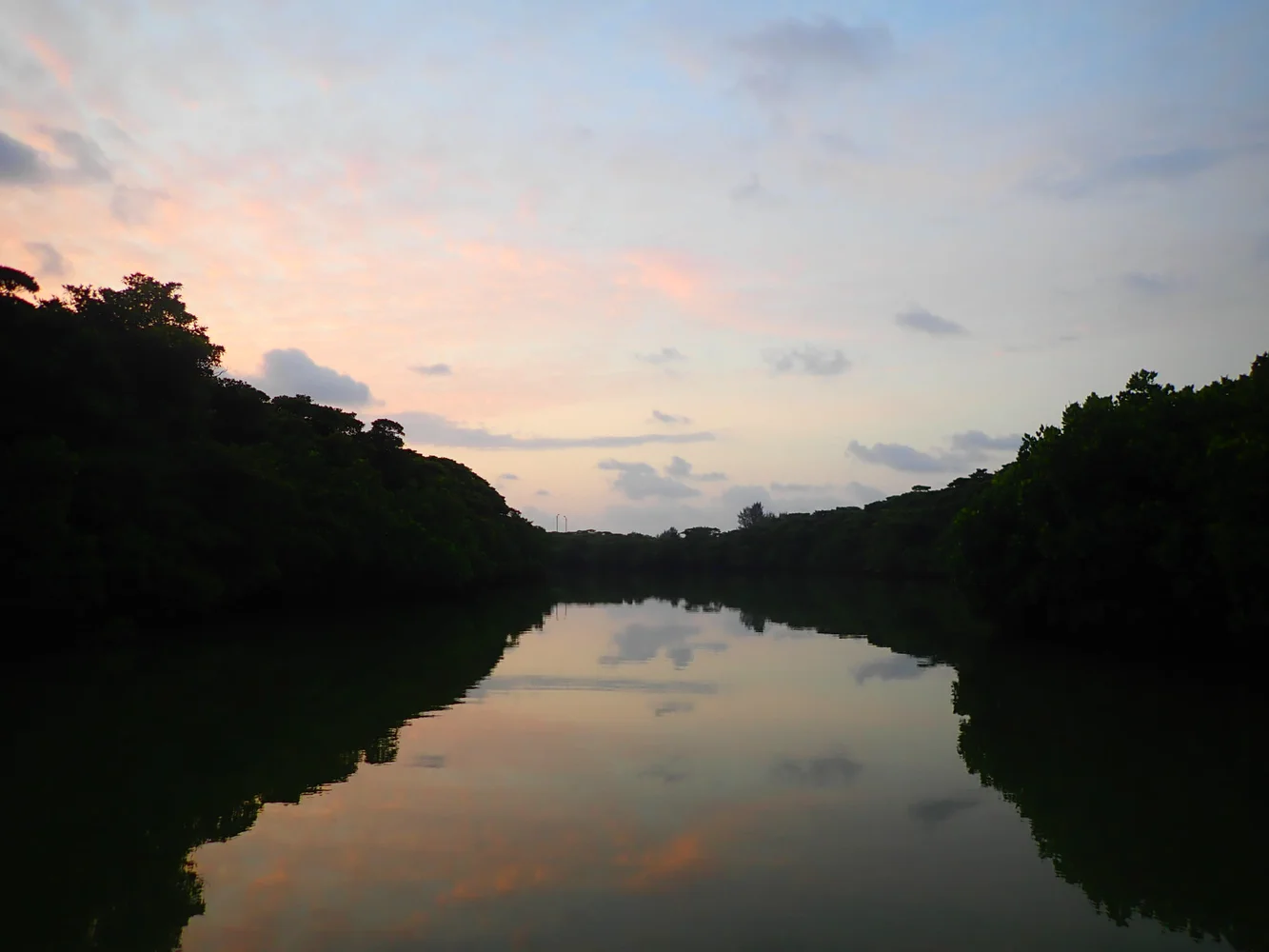 Ishigaki Island Mangrove Forest SUP or Canoeing Sunrise Tour