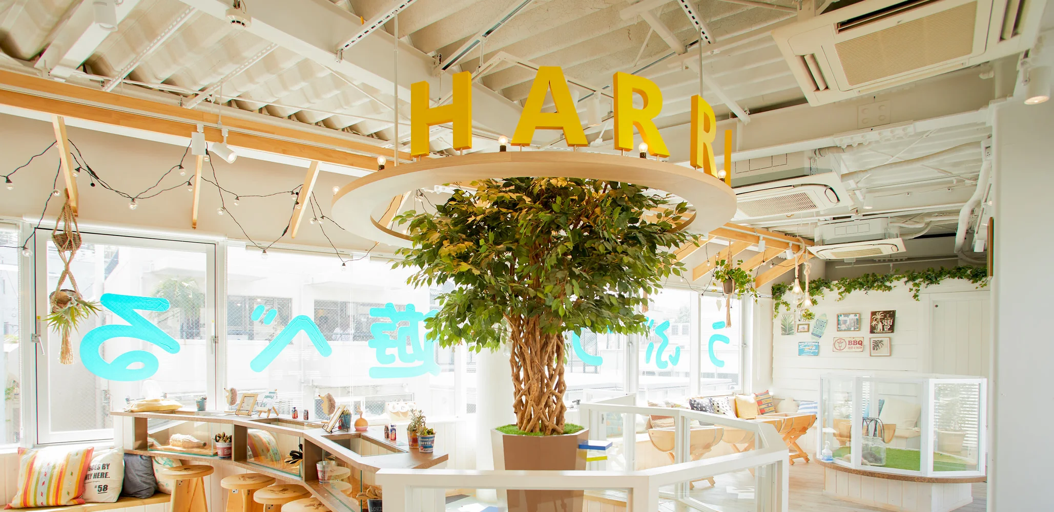 Harry Hedgehog Cafe Harajuku Terrace Tokyo Reservation
