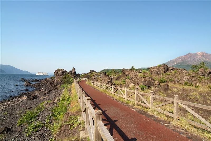 鹿児島 火の島「桜島」大地の鼓動を体感 ウォーキングツアー 予約＜足湯体験あり＞