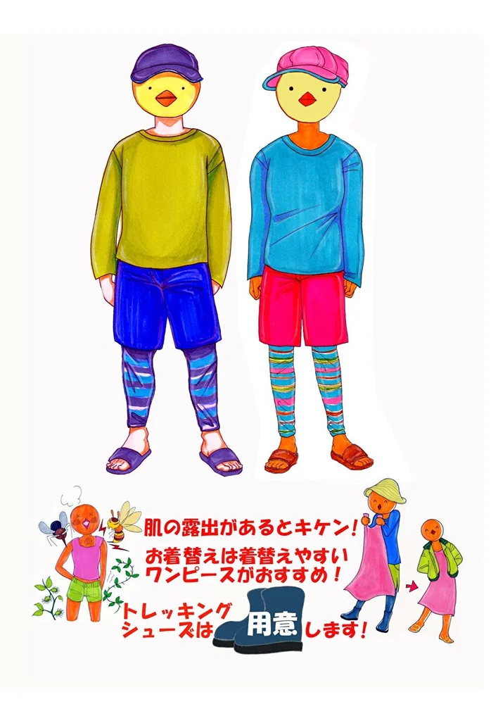 【西表島】癒しの森と滝『森林浴トレッキング』＜初心者歓迎／送迎付き／石垣や竹富・小浜からの日帰り可／2名様から催行＞