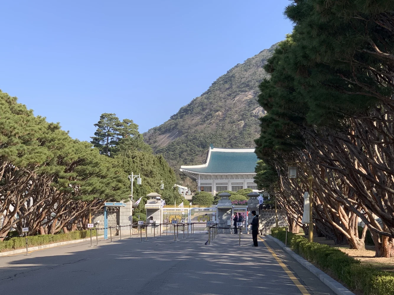 韓国 ソウル 市内観光ツアー 予約 青瓦台 + 景福宮（キョンボックン）＋守門将交代式＋民俗博物館＜半日／日本語ガイド付き＞