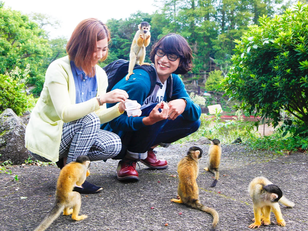 Book Izu Shaboten Zoo Tickets in Shizuoka
