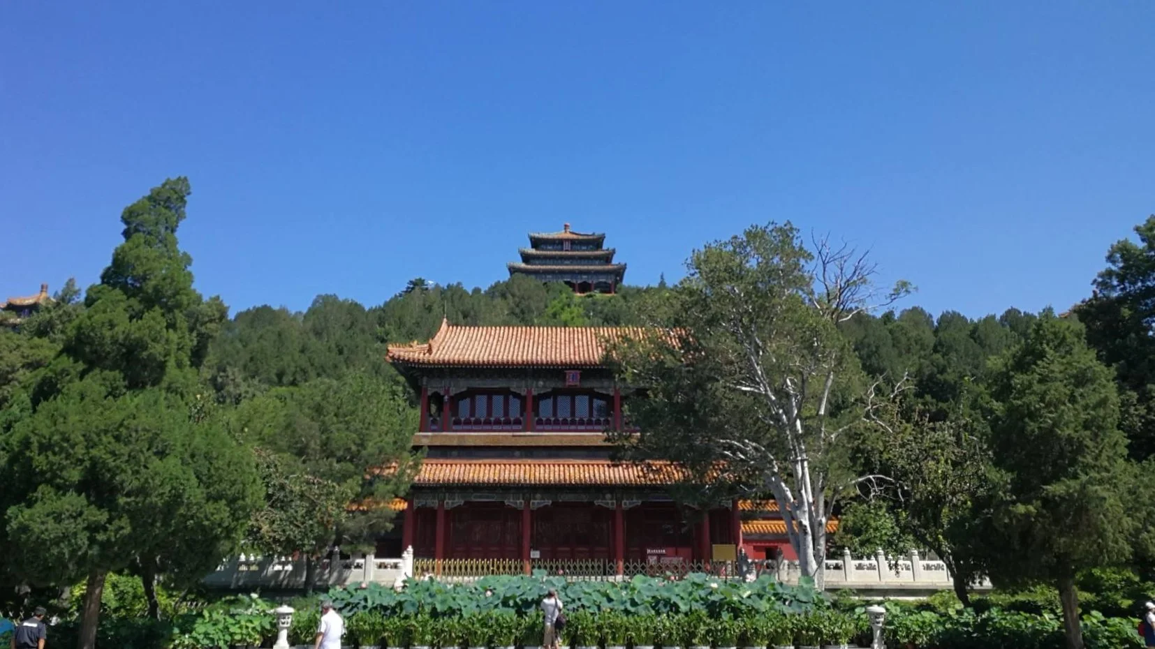 中国 北京故宮博物院（珍宝館入場）＋天安門広場＋景山公園 半日観光＜日本語ガイド／送迎＞