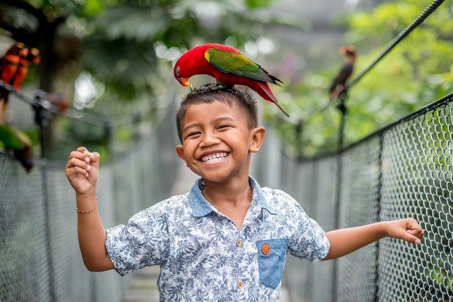 Bali Bird Park Tickets: Bali's Best Bird Experience