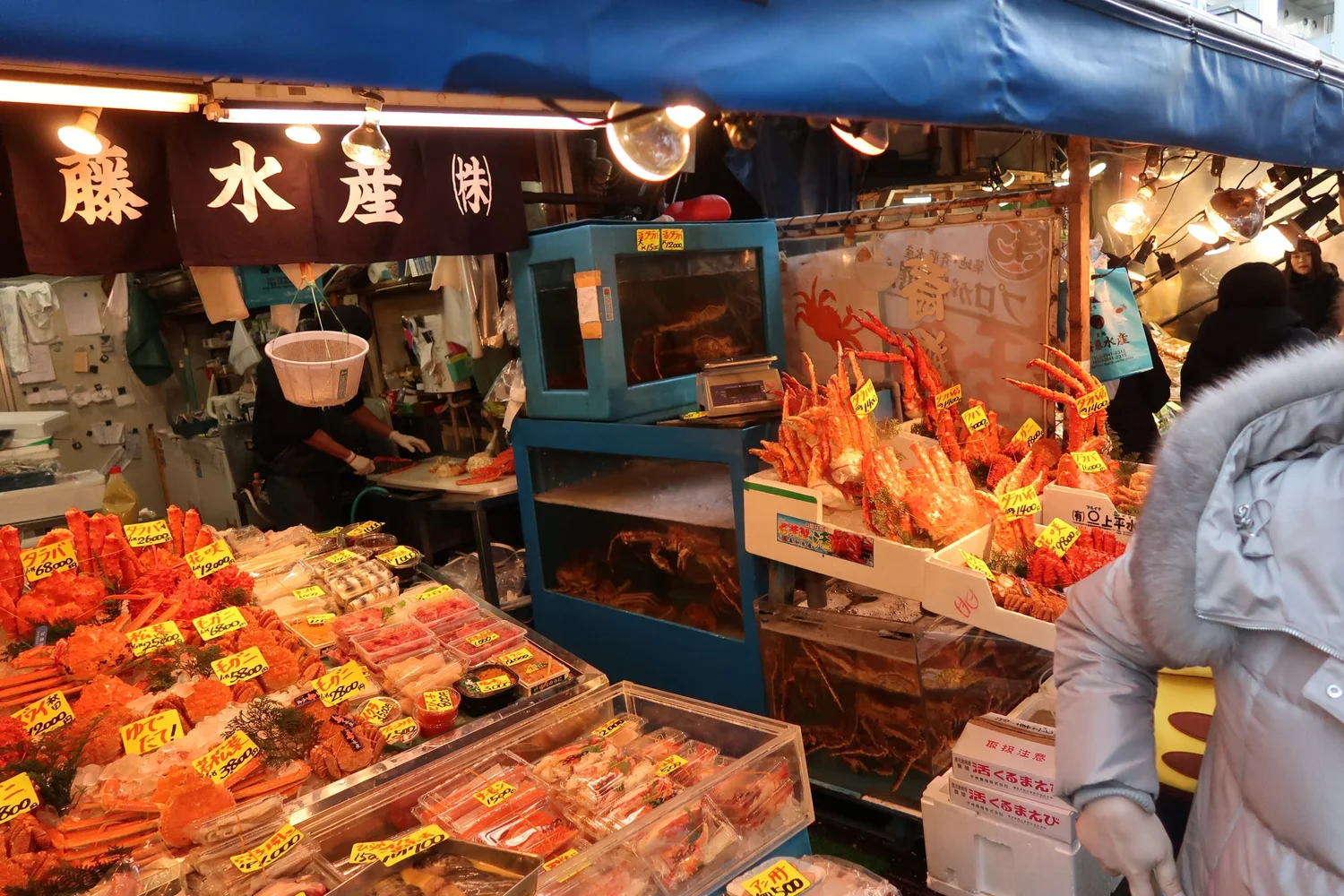 Private Tokyo Toyosu Market and Tsukiji Market Tour