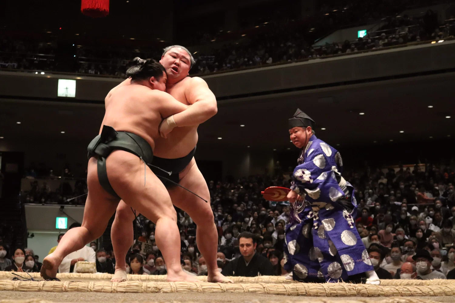 [Nov 2024] Watch Fukuoka Sumo Tournament with a Licensed Guide (A-Class Seating)