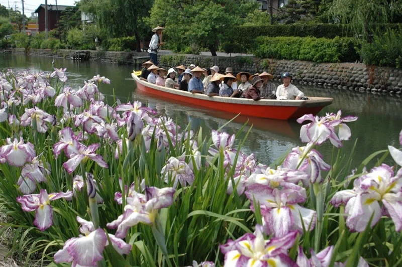Yanagawa River Boating Cruise Experience in Fukuoka