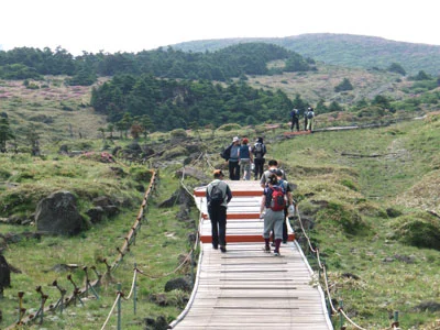 韓国 済州島 漢羅山（ハンラサン）登山体験ツアー 予約