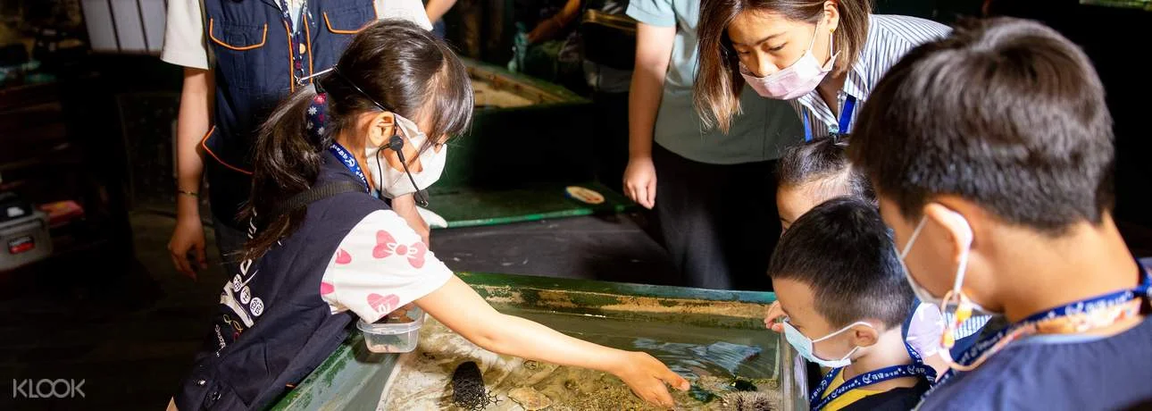 台湾 屏東 国立海洋生物学博物館 入場チケット 予約＜VR体験付き＞