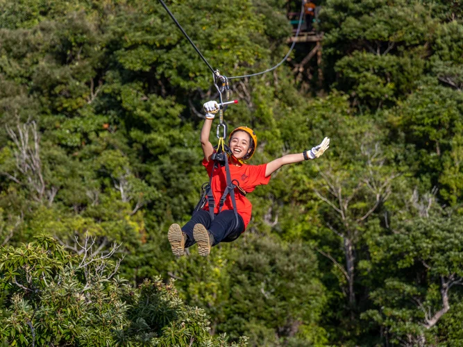 Okinawa Ziplining At Yambaru Adventure Higashi Village Rakuten Travel Experiences