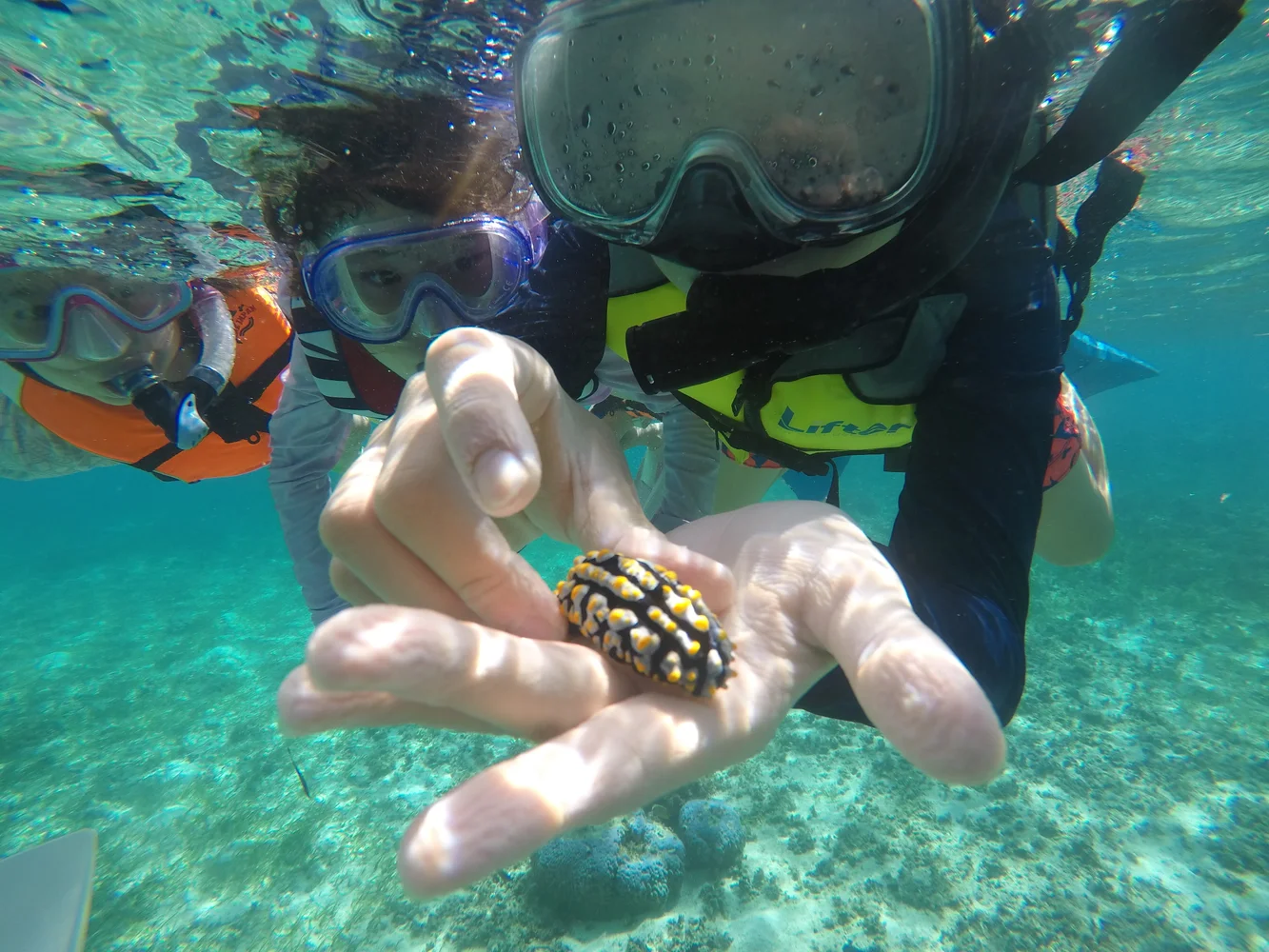 Okinawa Snorkeling & Kayak — Water Sports Experience in Bise