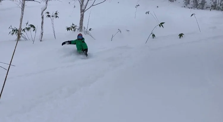 Rusutsu Half-Day Advanced Snowboard Private Lesson: Carving, Tricks & Powder Ride in Hokkaido! (3 Hours)