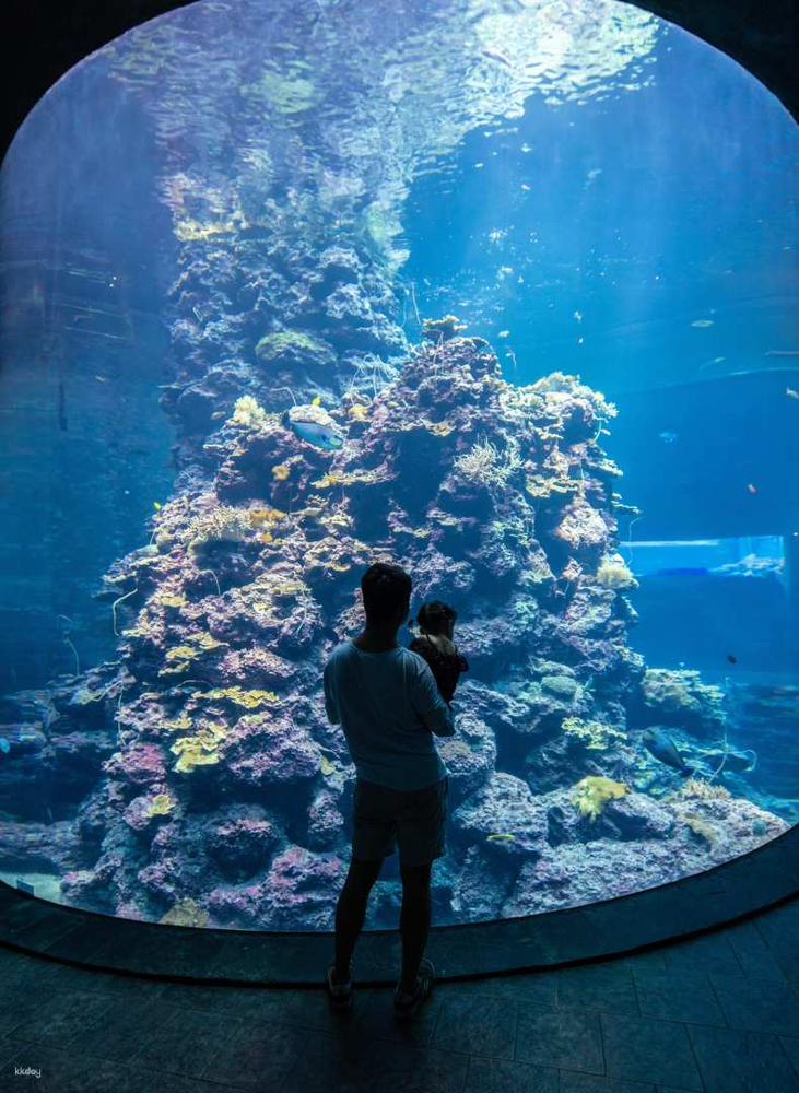 台湾 屏東県 夜の国立海洋生物博物館 台湾水資源博物館ガイドツアー＆恒春半島の潮間帯見学体験 予約＜夕食付＞