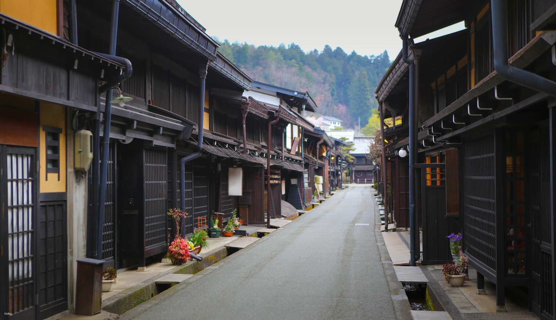 Gokayama, Shirakawago & Hida Takayama: Gassho-Zukuri Village Tour from Kanazawa