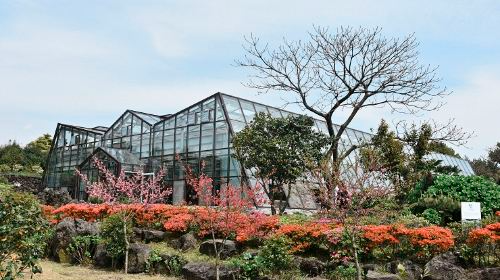 韓国 済州 カメリアヒル植物園 入場Eチケット 予約[即日発券]