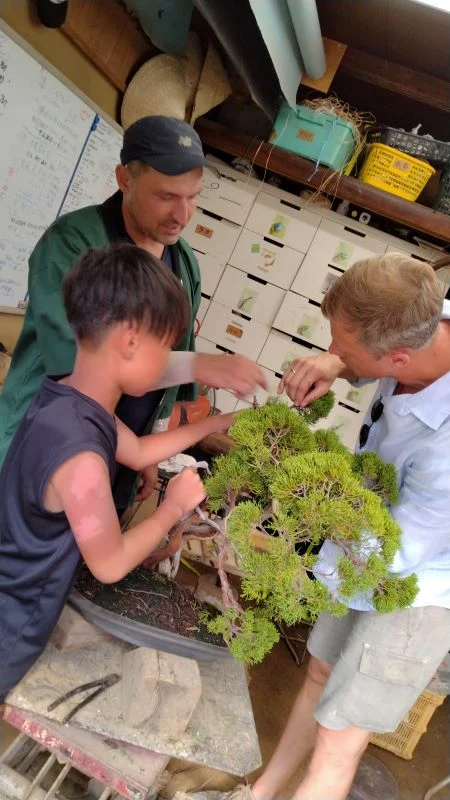 Bonsai Experience and Tour of Shunkaen Bonsai Museum Tour in Tokyo